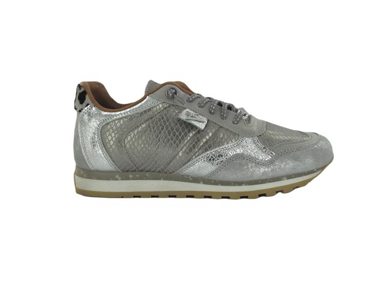 Cetti C848