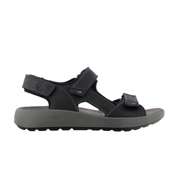 Ara 11-21506 piero