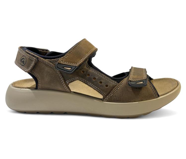 Ara 11-21506 piero