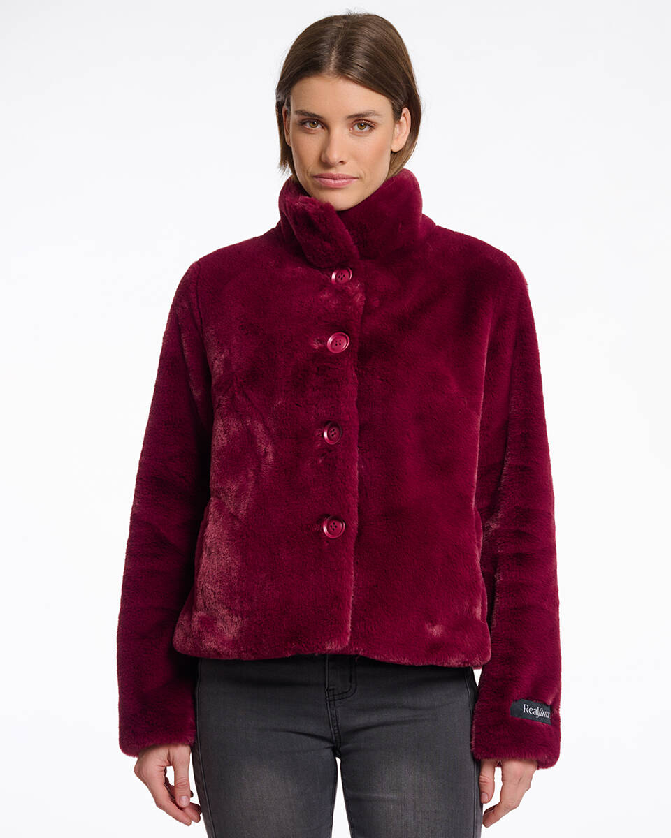 Rino & Pelle Jack vie.7002511