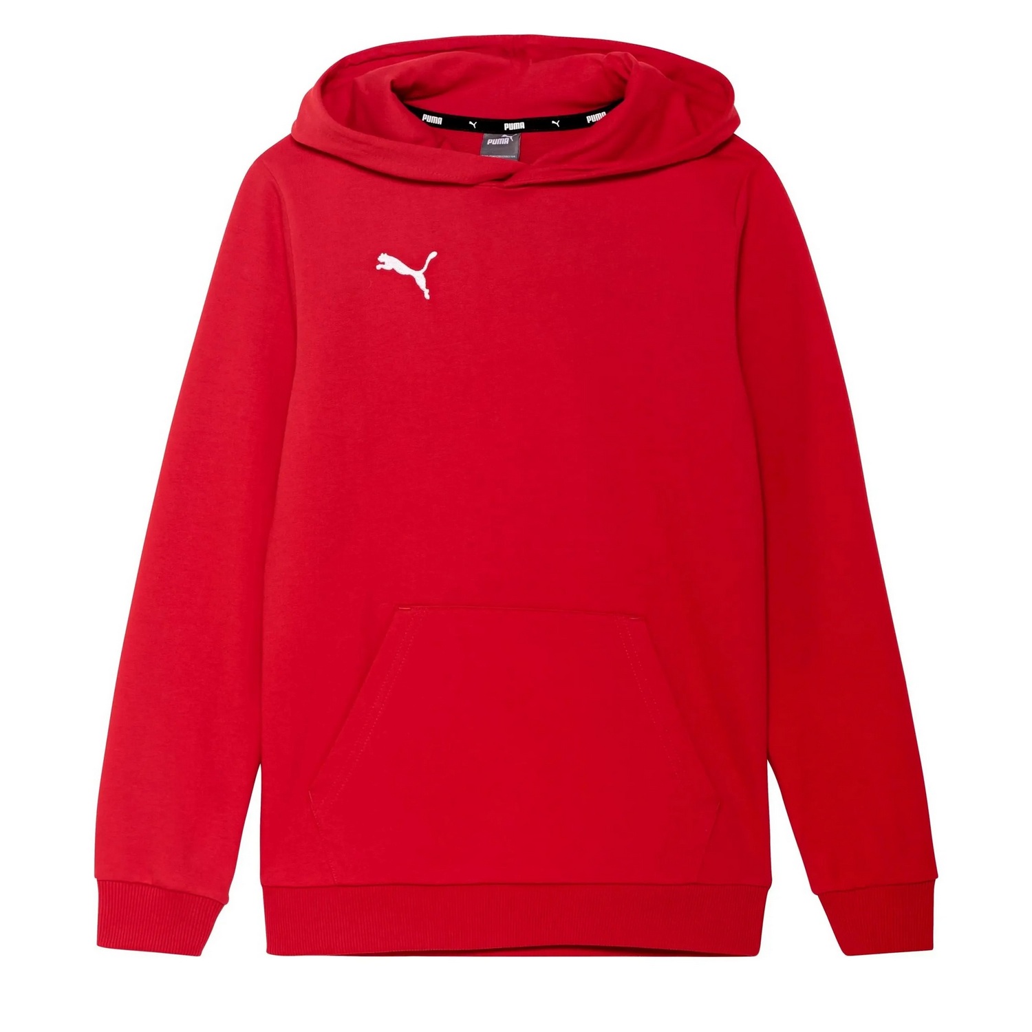 Puma Kinder/kids team goal casuals hoodie
