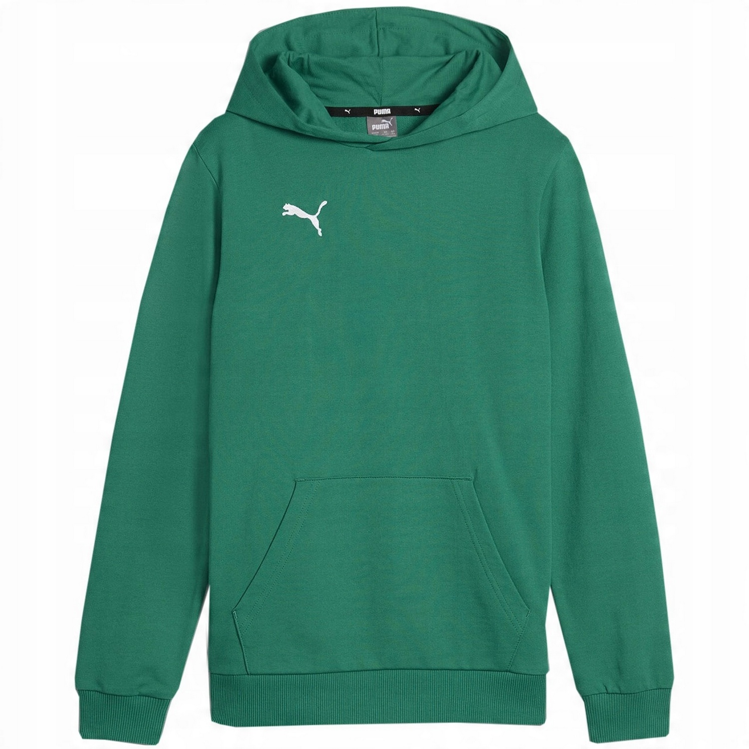 Puma Kinder/kids team goal casuals hoodie
