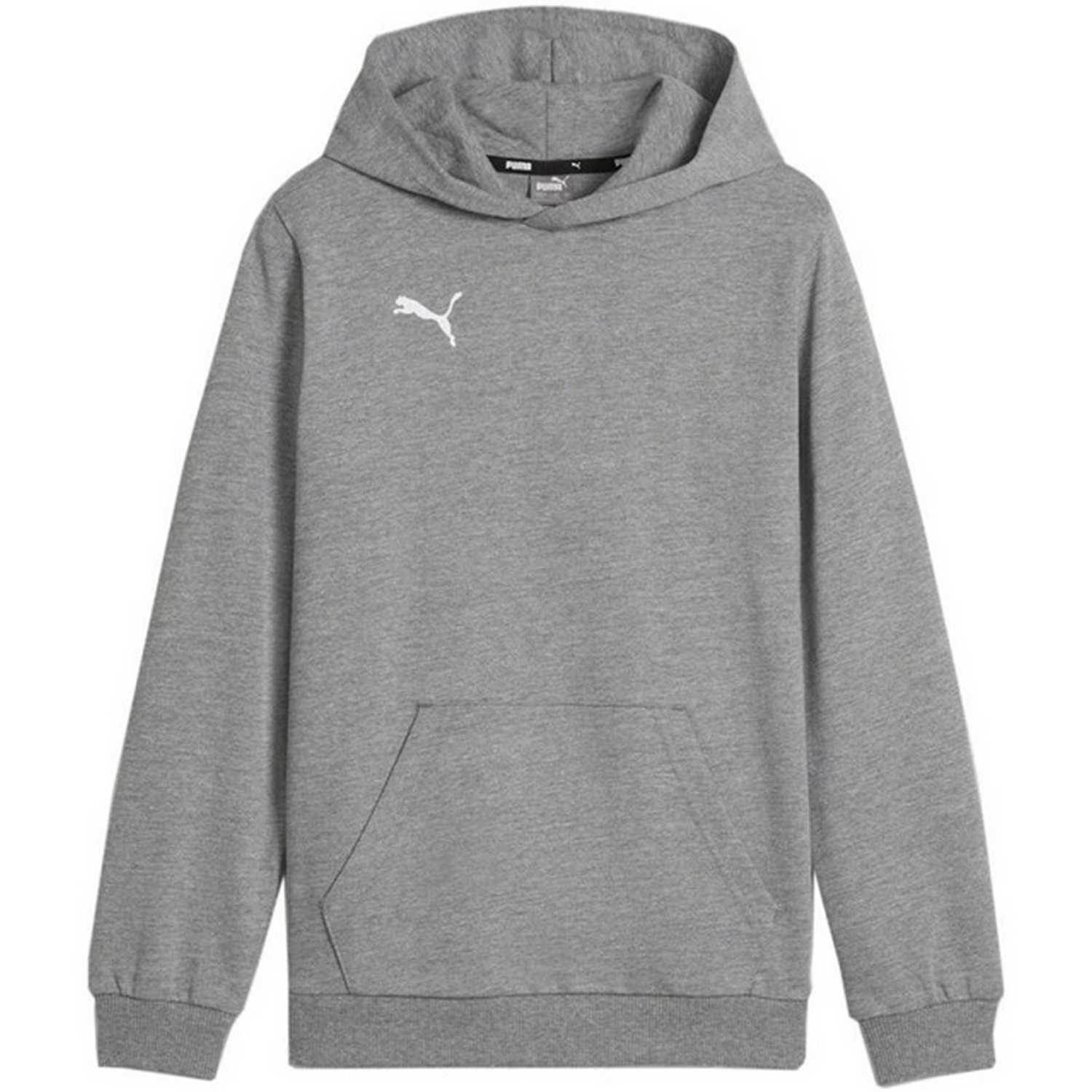 Puma Kinder/kids team goal casuals hoodie