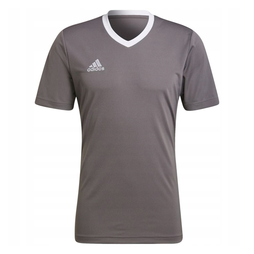 Adidas Heren entrada 22 jersey