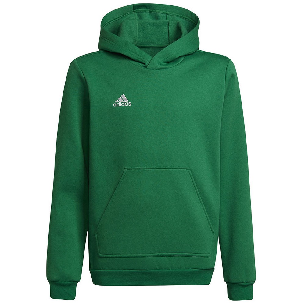Adidas Kinderen/kinderen entrada 22 hoodie