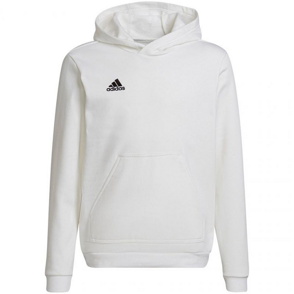 Adidas Kinderen/kinderen entrada 22 hoodie