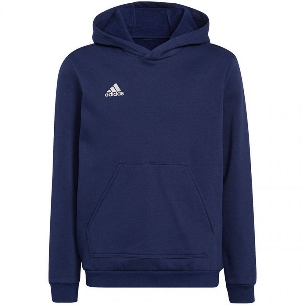 Adidas Kinderen/kinderen entrada 22 hoodie