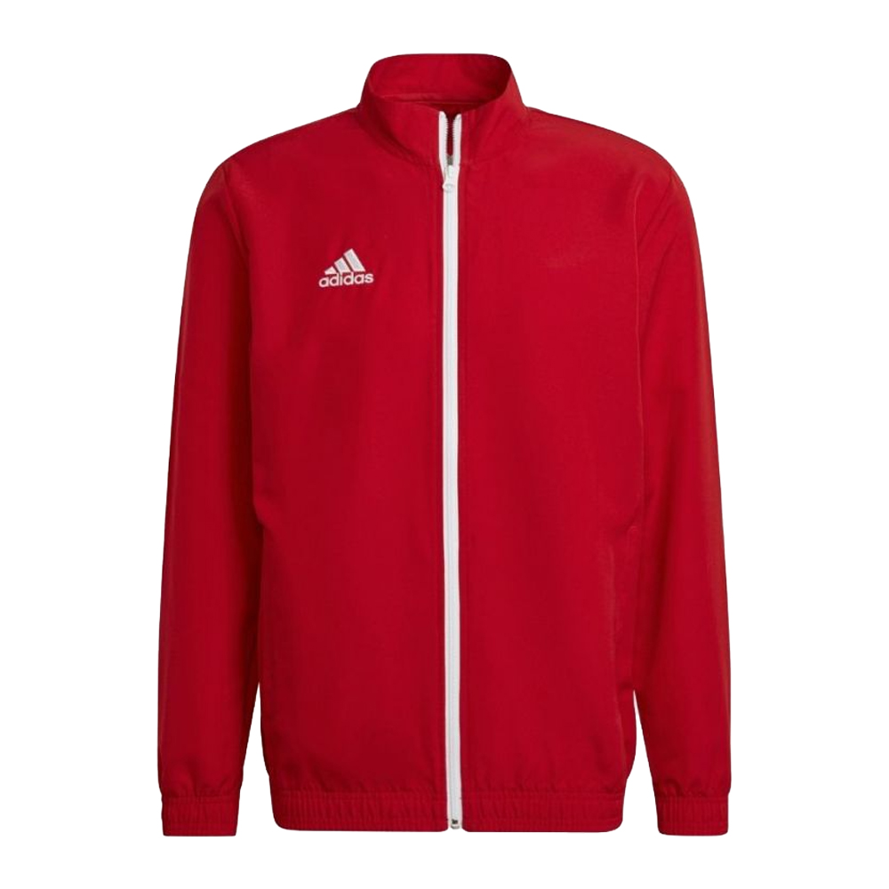 Adidas Heren entrada 22 presentatiejas