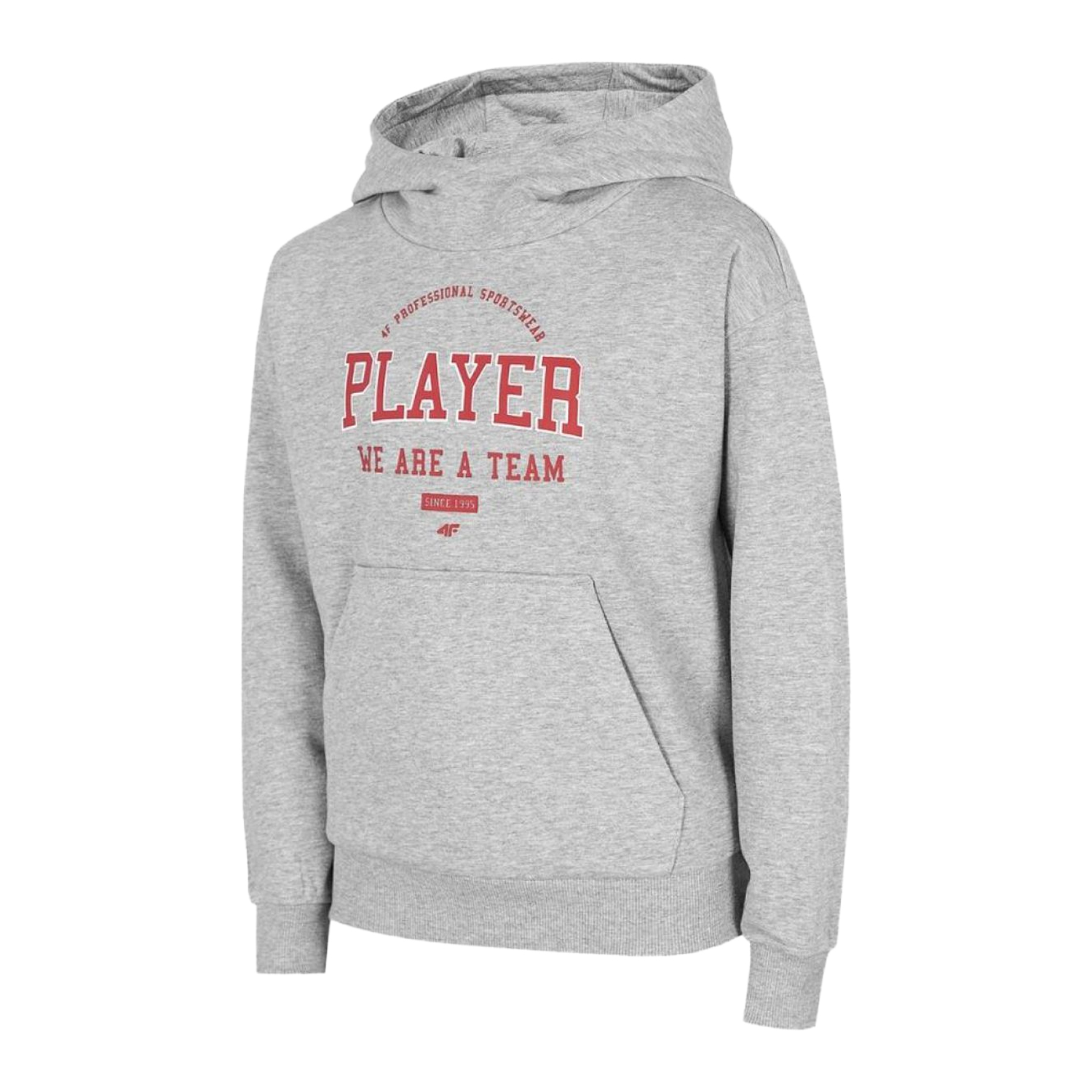4F Kinderen/kleuters hjz22 jblm006 hoodie