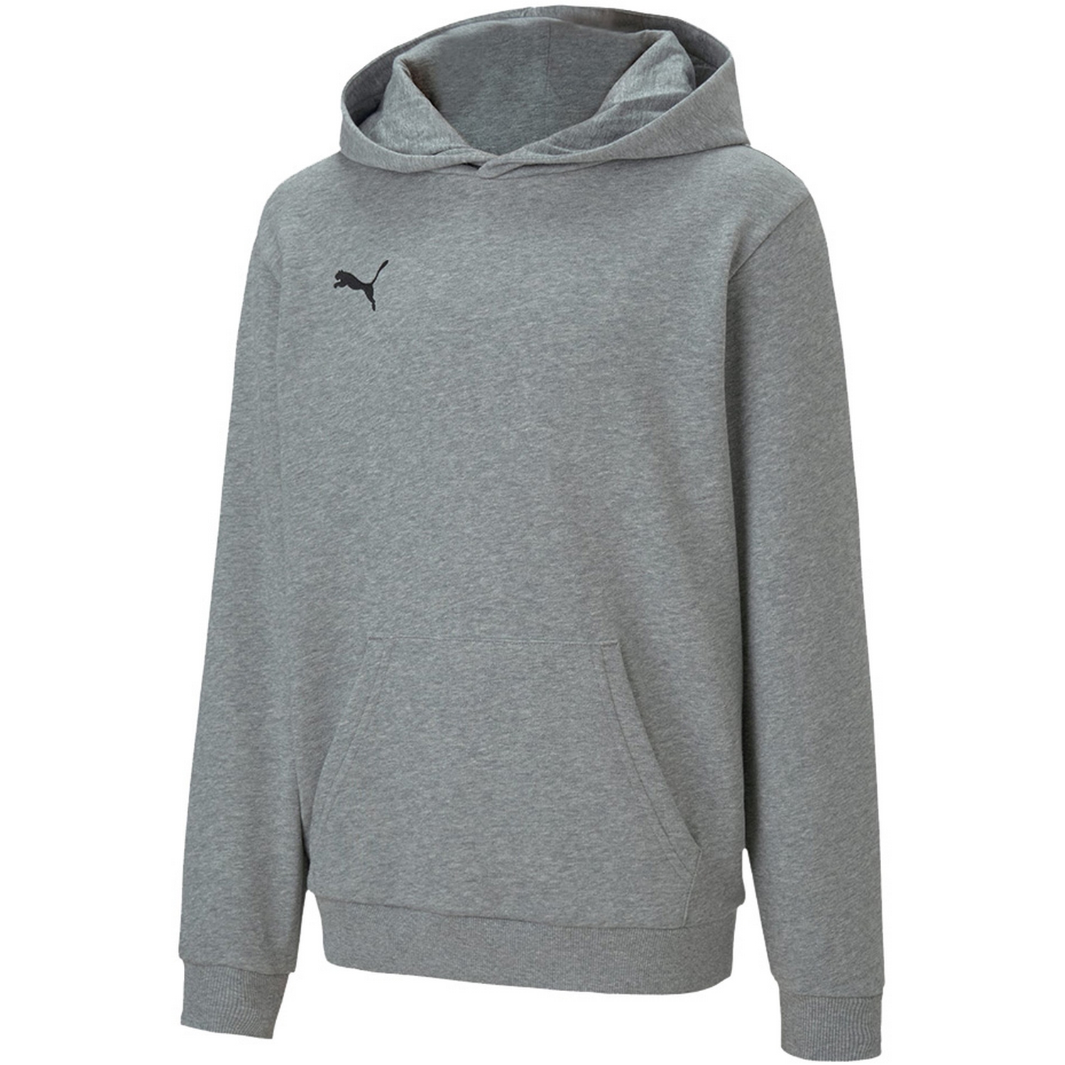 Puma Kinderen/kinderen teamgoal 23 hoodie