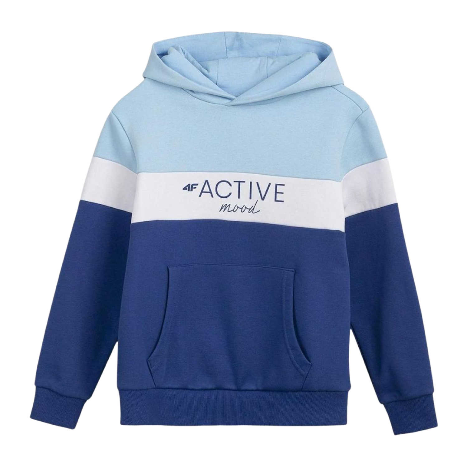 4F Kinderen/kleuters hjl22 jbld002 hoodie