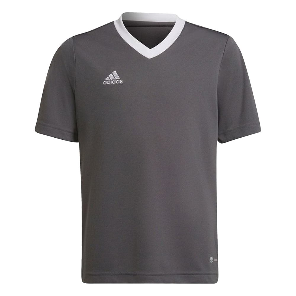 Adidas Kinder/kids entrada 22 trainings jersey