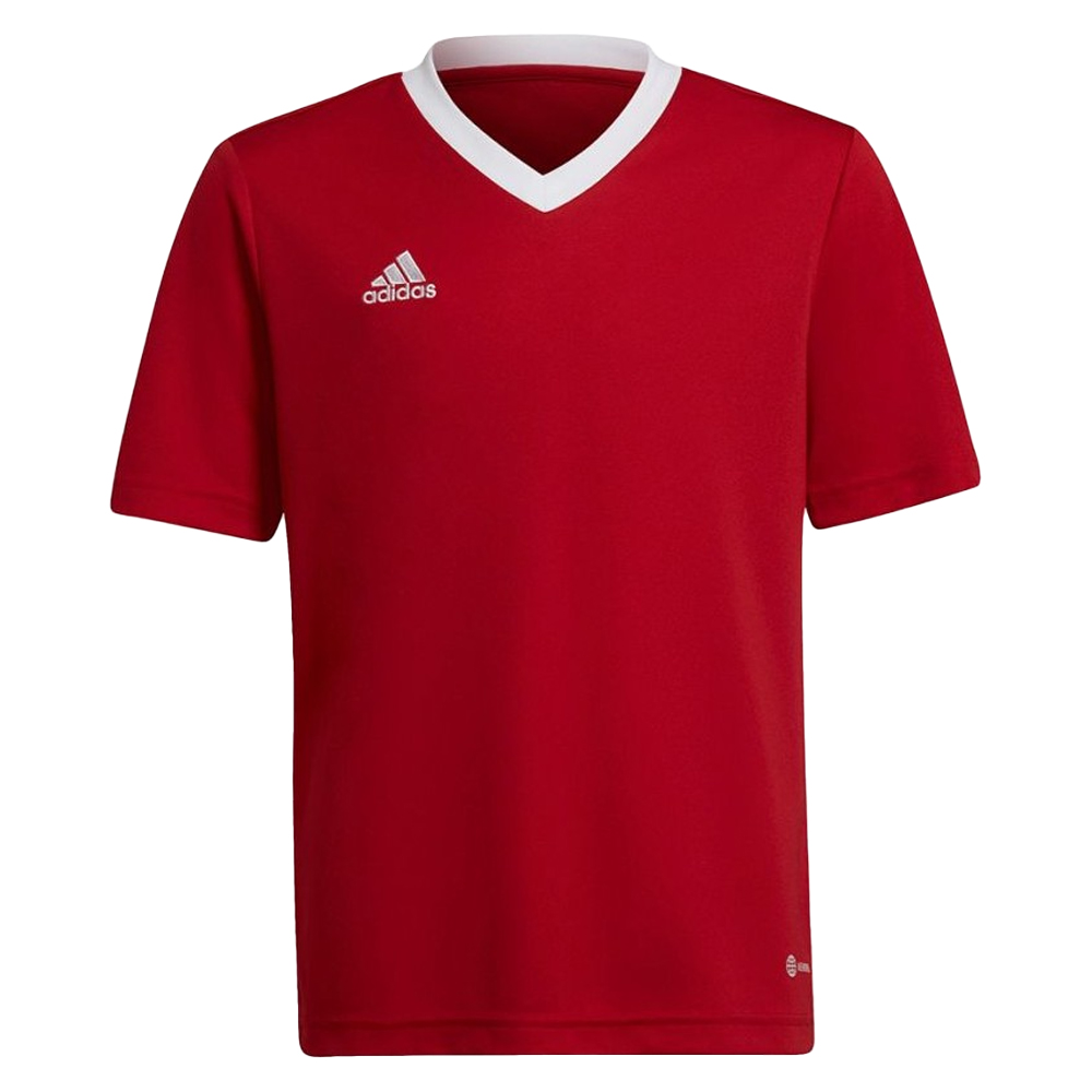 Adidas Kinder/kids entrada 22 trainings jersey