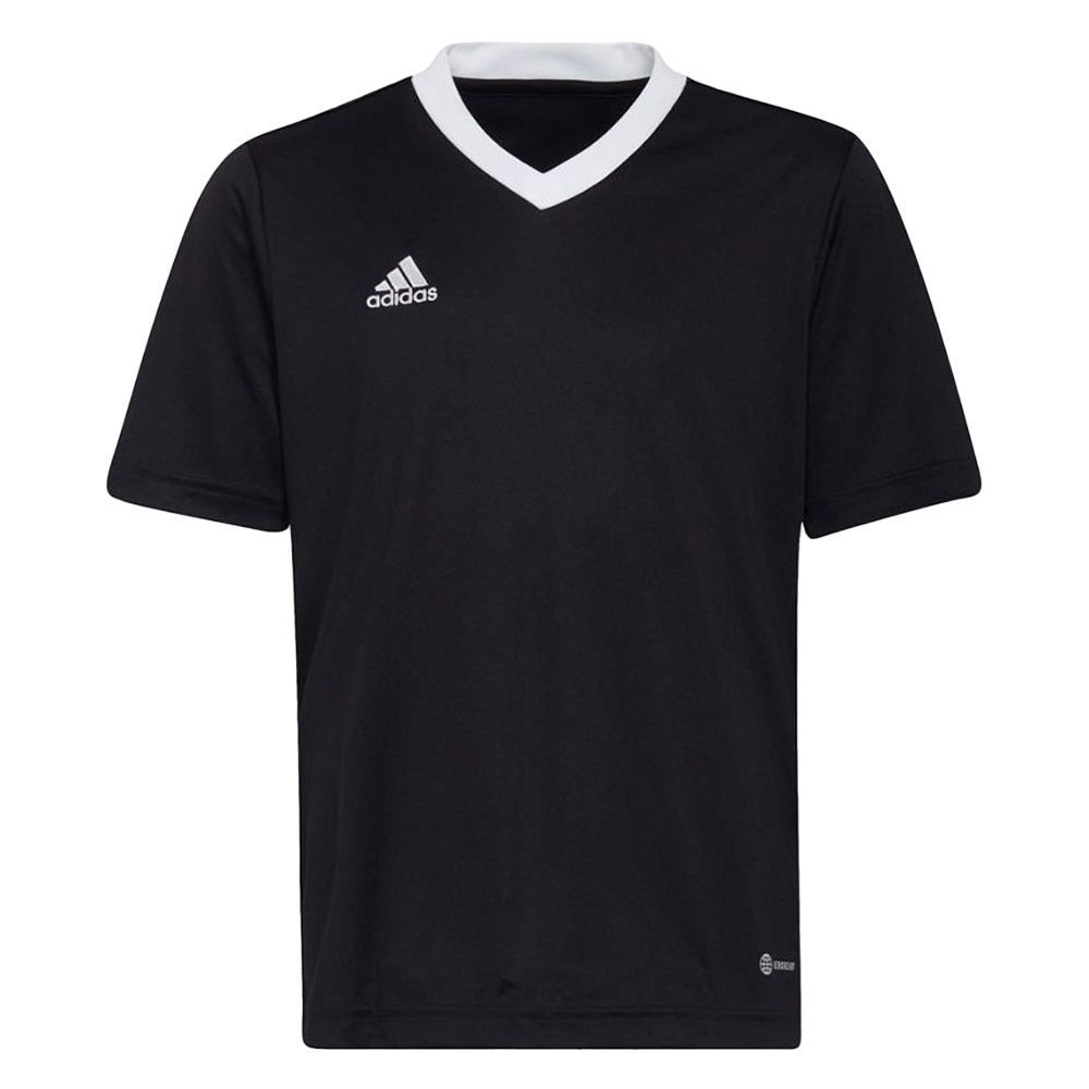 Adidas Kinder/kids entrada 22 trainings jersey