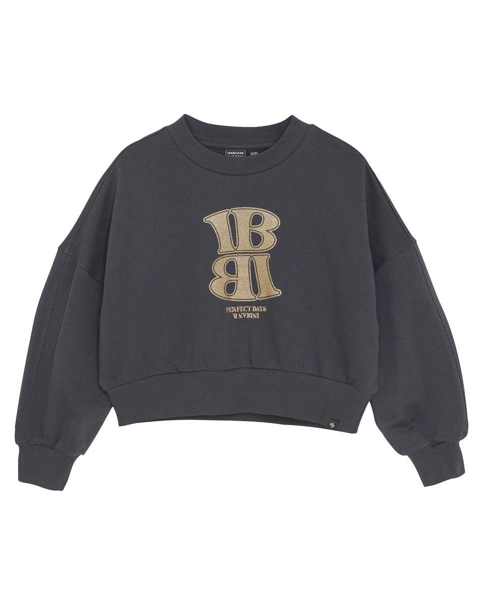 Indian Blue Sweat 970328