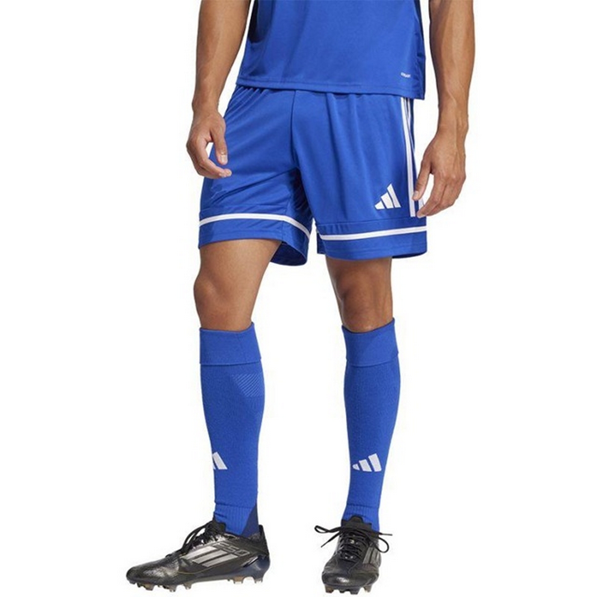 Adidas Heren squadra 25 korte broek