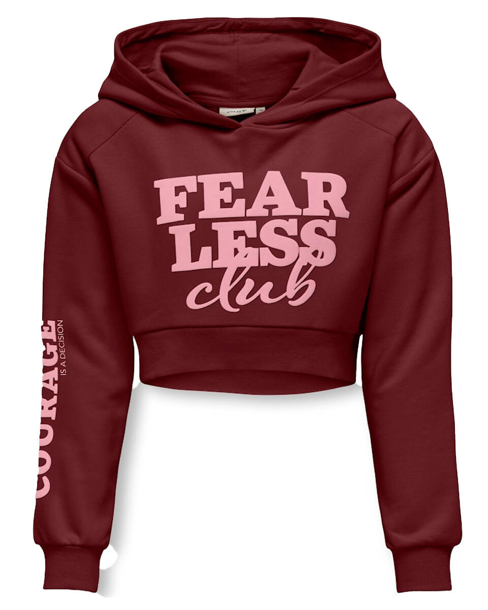 Only Hoodie 15331171 kogdiana