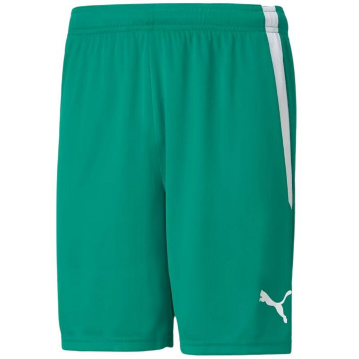 Puma Heren teamliga shorts