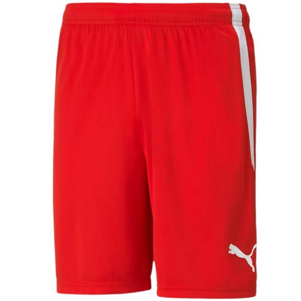 Puma Heren teamliga shorts