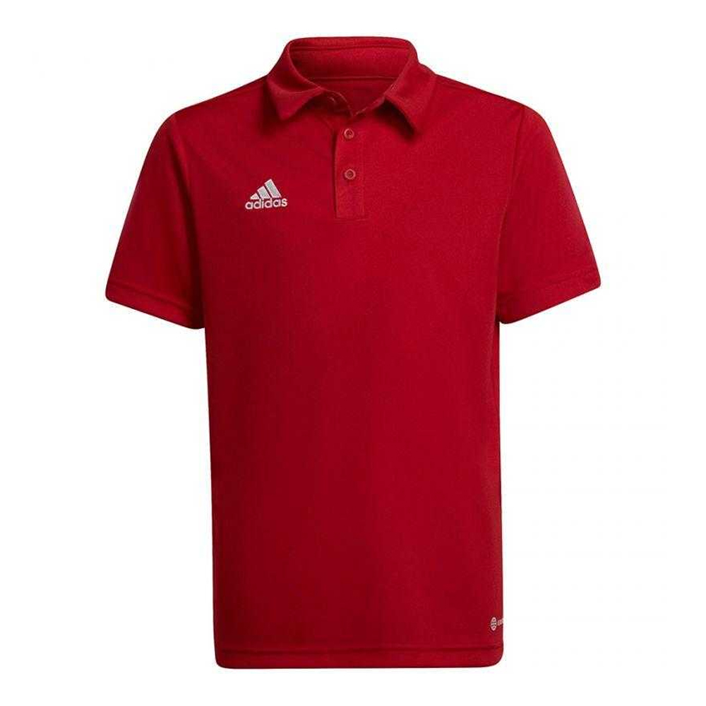 Adidas Jongens entrada 22 poloshirt