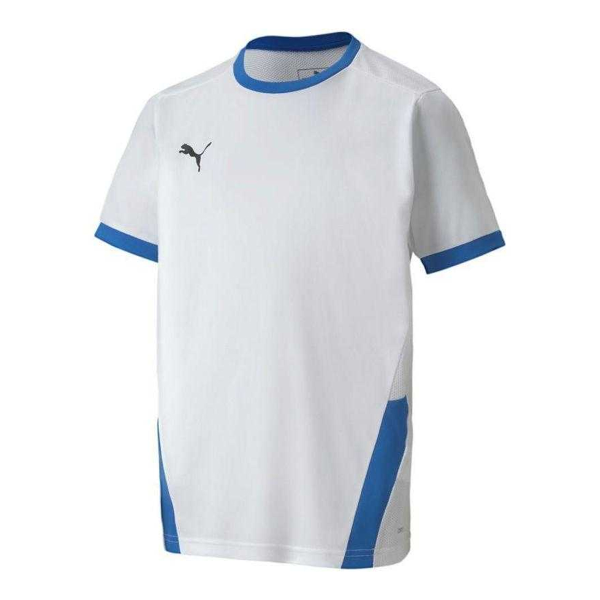 Puma Kinderen/kinderen teamgoal t-shirt