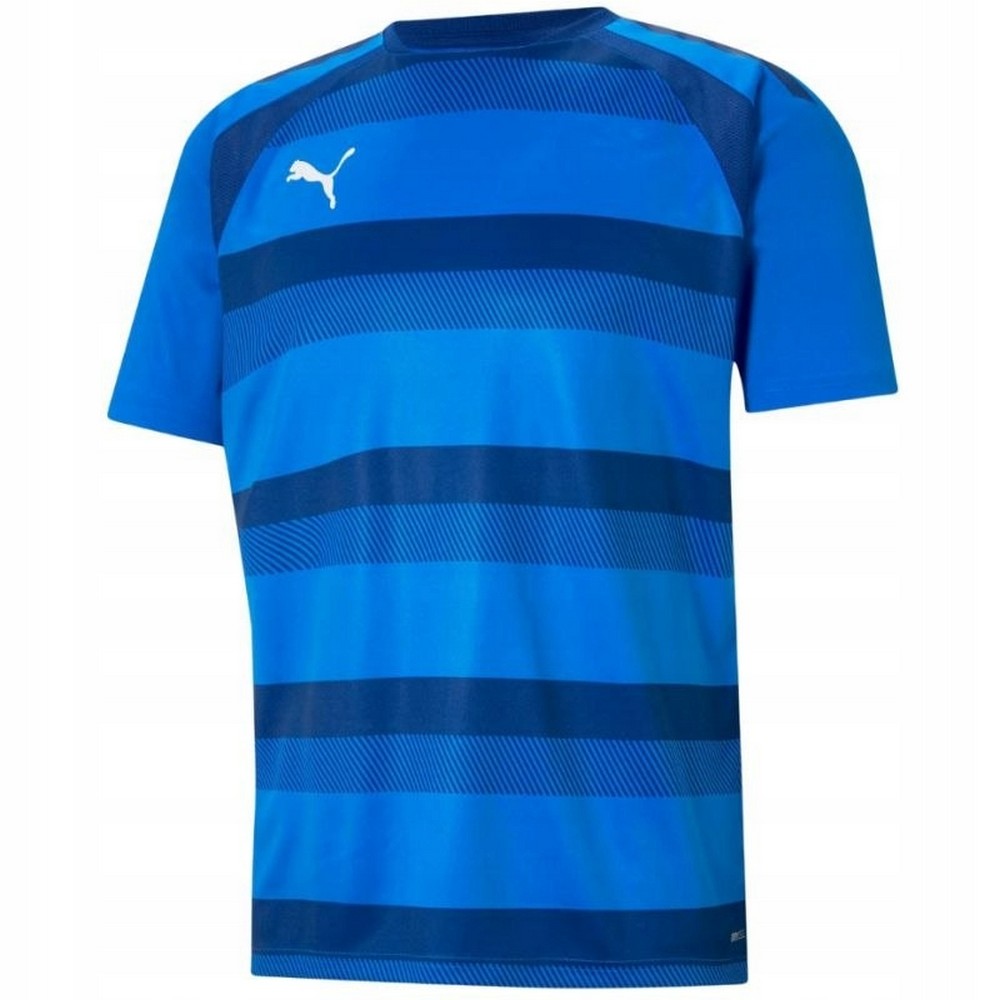 Puma Heren teamvision jersey