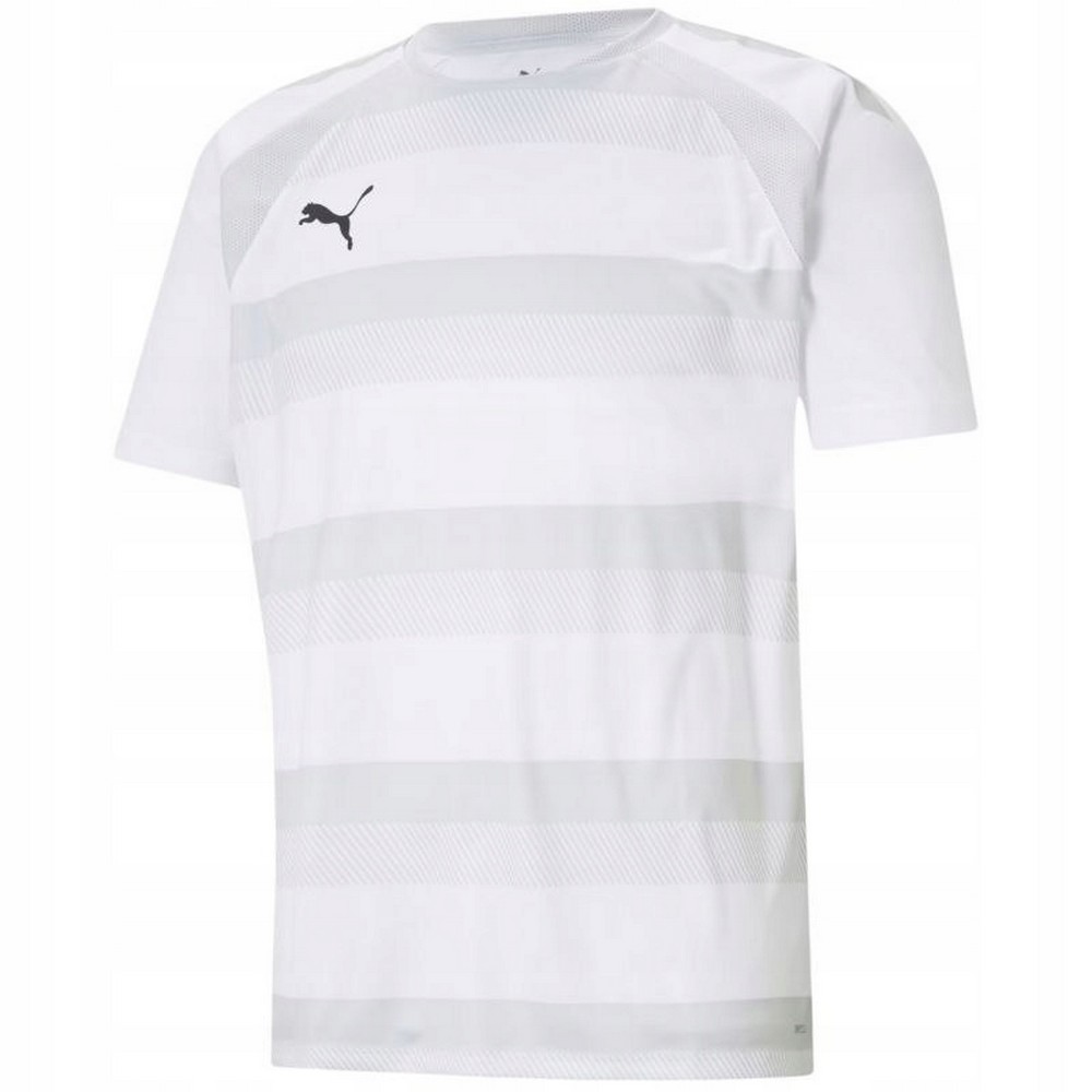 Puma Heren teamvision jersey
