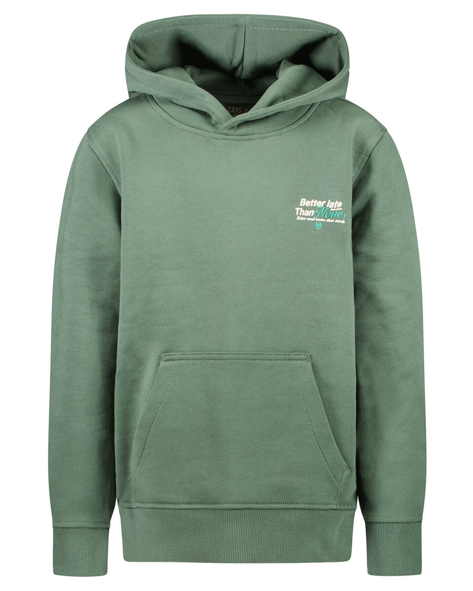 Cars Hoodie 3256546