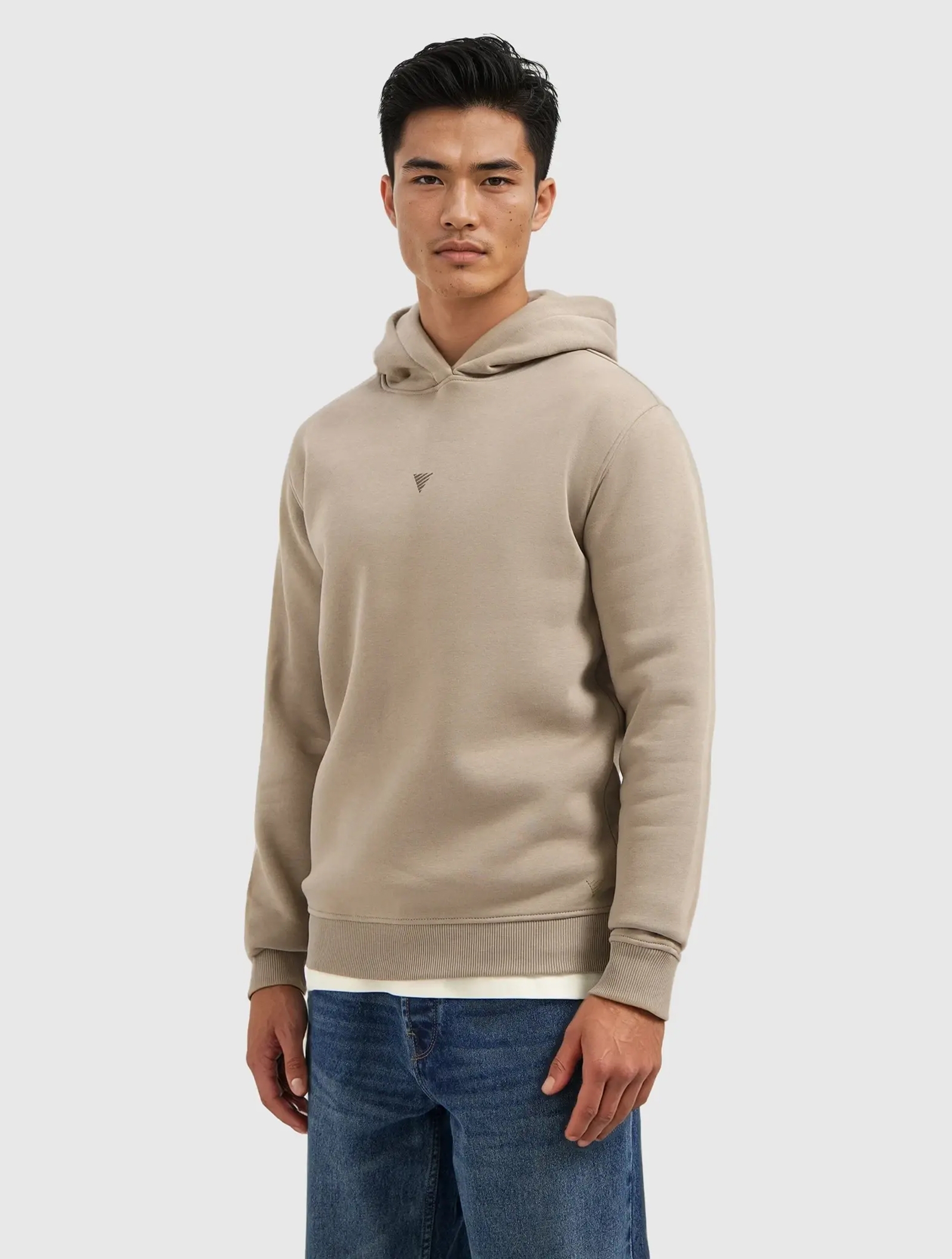 Pure Path Regular fit hoodie ls sweaters