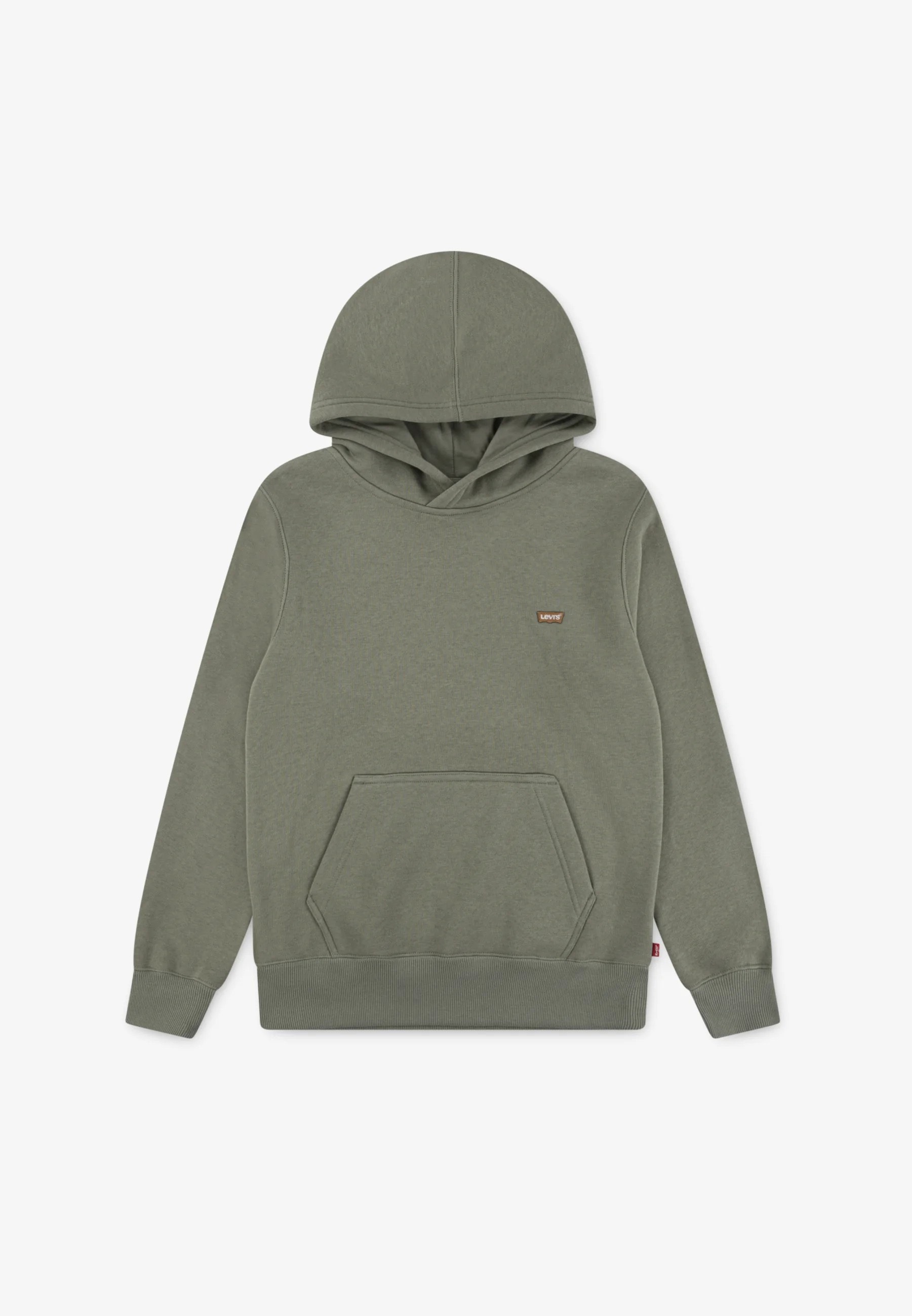 Levi's Badwing chesthit hoodie oud