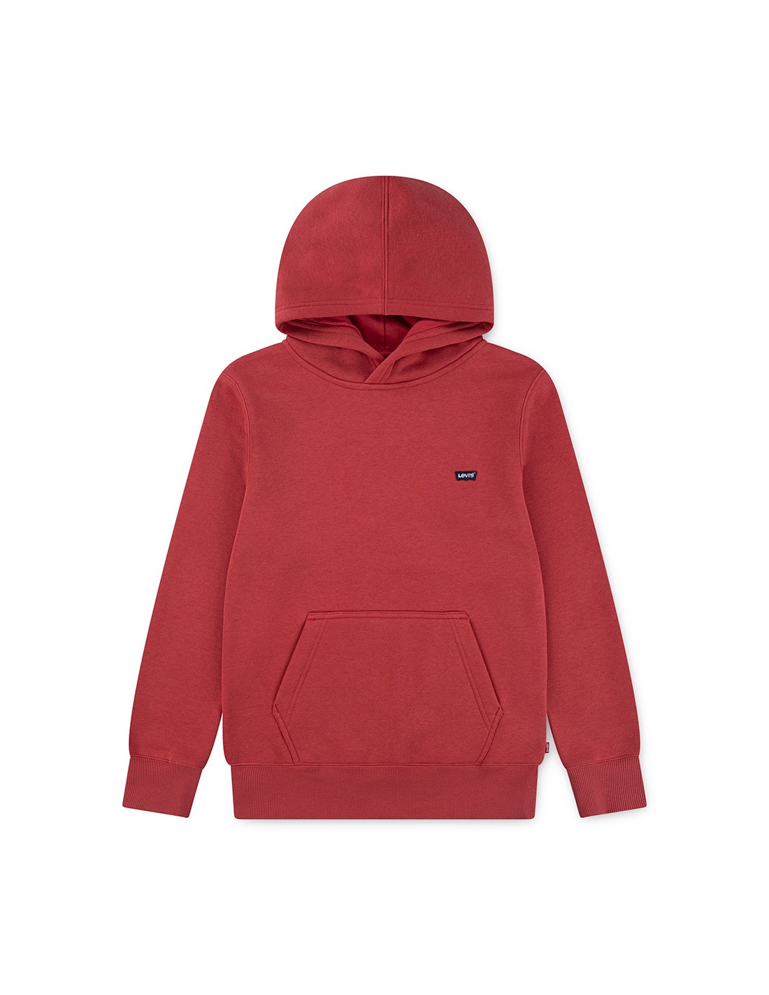 Levi's Badwing chesthit hoodie gewassen