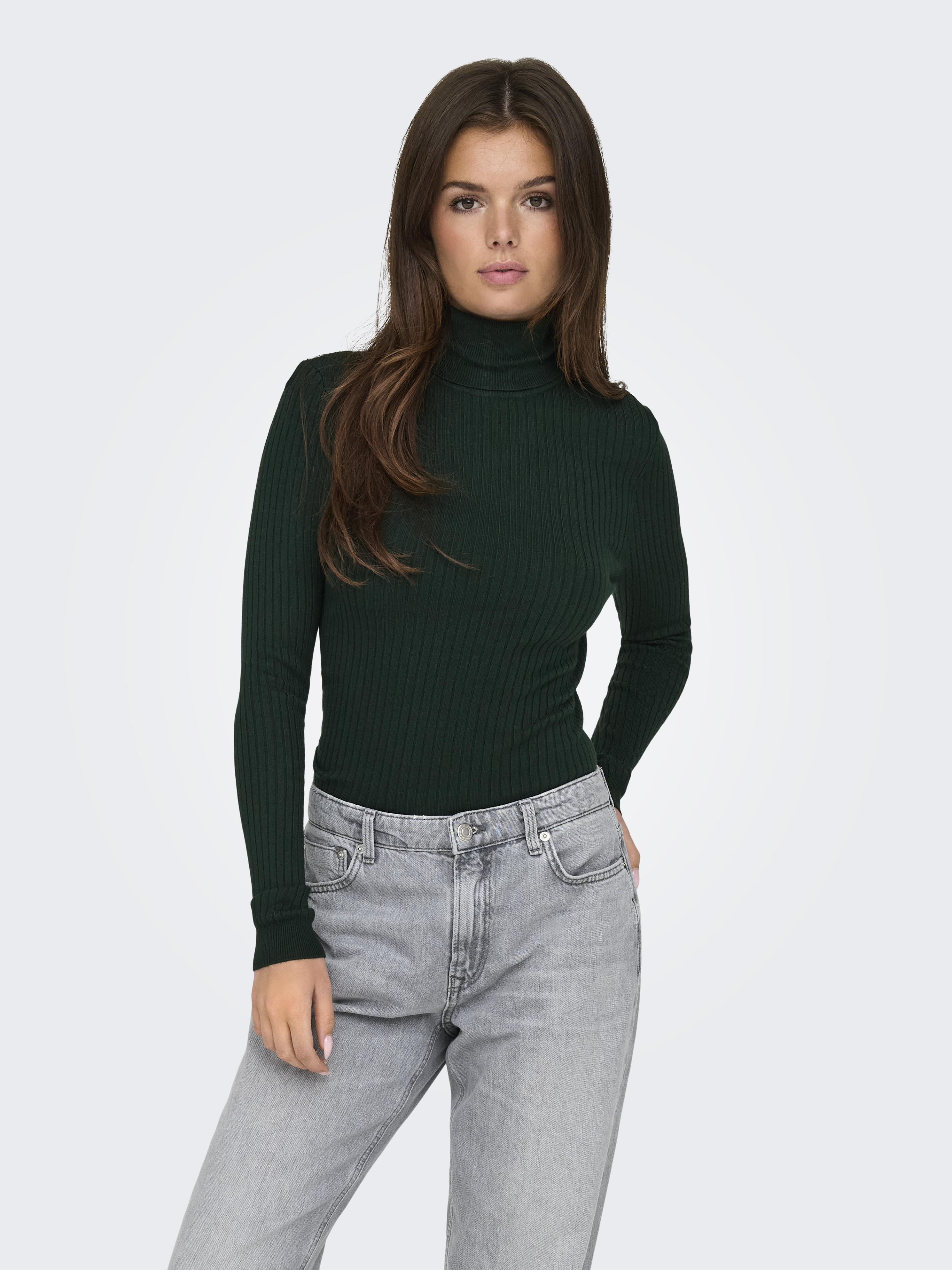 Only Onlnew karol l/s rollneckpullover e