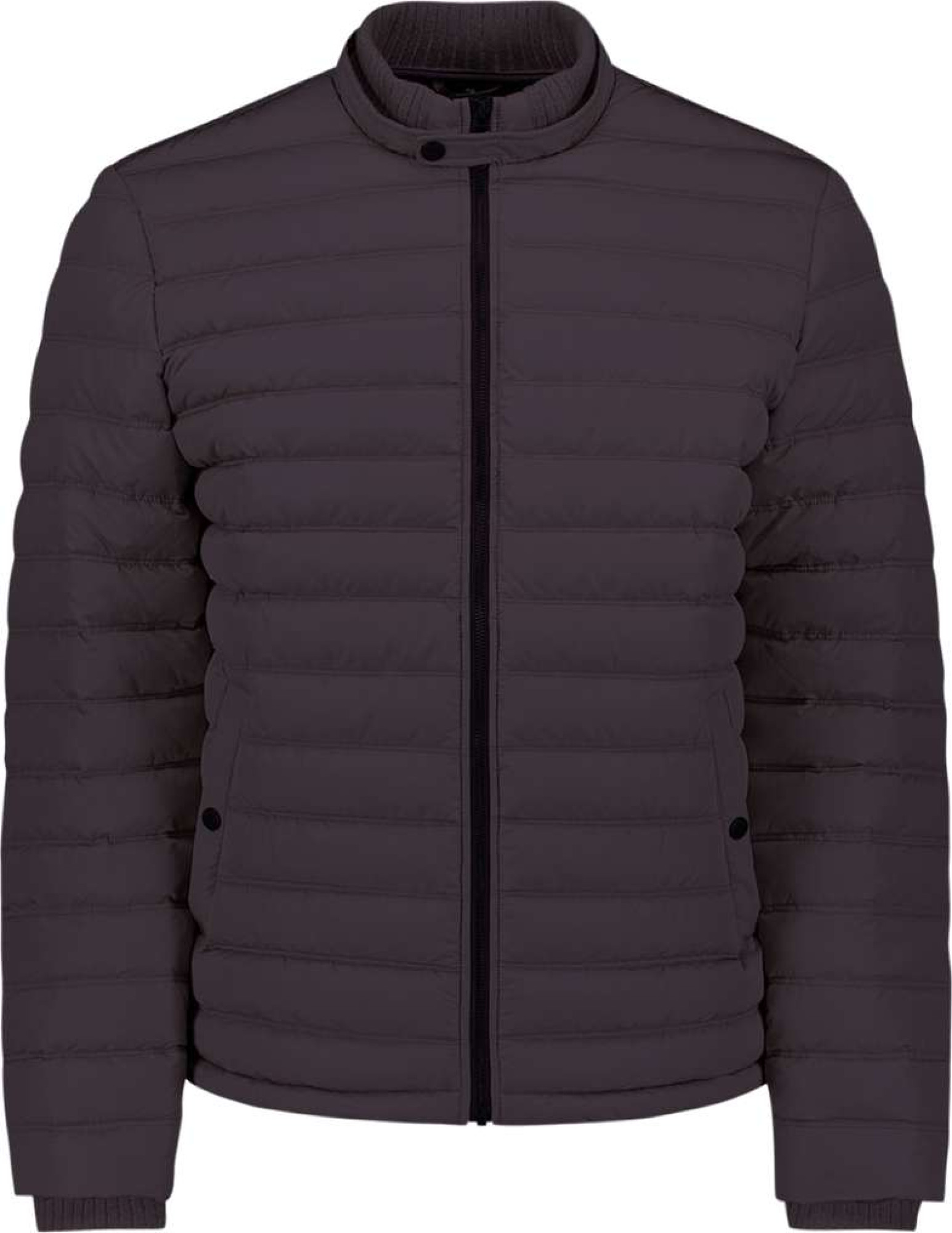 No Excess Jacket short fit padded aubergine