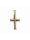 Christian Gouden holle kruis  icon