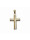 Christian Gouden kruis zonder korpus  icon
