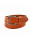 KidzzBelts 2004  icon