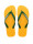 Havaianas Brasil logo /groen teenslippers unisex  icon