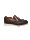Harris Eolie  icon