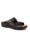 Berkemann 01027  icon