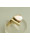 Christian Gouden ring met parelmoer  icon