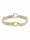 Christian Bicolor gouden flexibele armband  icon