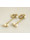 Christian Gouden oorbellen met parels  icon