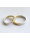Christian Bicolor trouwringen met diamant  icon