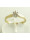 Christian Geel gouden diamanten ring met klauwzetting  icon