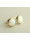 Christian Gouden opaal oorknopen  icon