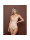 Bye Bra Sculpting high waist thong  icon