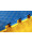 Legend Sports Legend puzzelmat sportvloer | 100 x 100 x 2 cm | blauw / geel  icon