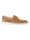 Van Bommel Sbm-40041  icon