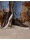 Rehab Veter schoenen 2442 354202 owen  icon
