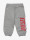 Diesel Pvaseb pantaloni  icon
